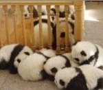 <b>내사</b>랑너의사랑승리짱