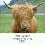 ☆★☆★귀요미 엄마의 소타령☆★☆★