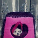 ♥♥♥♥♥♥♥♥내 스토커♥♥♥♥♥♥♥♥♥