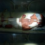 ★★ (사진有)  14개월 우리 귀여운 아들을 소개합니다 ^ㅡ^...