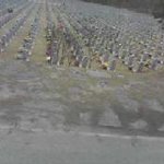 <b>공동묘지</b> 사진 안깨지고 확대좀해주실분?