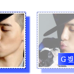 g빂이다님 <b>부상</b>완작