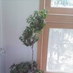 ★★★★★★★★이쁜<b>이싱</b>싱이를자랑합니다★★★★★★★★★