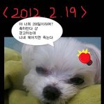 ★★200일기념으로 조그마하게 준비해봐써요 (사진有)★★