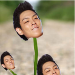 <b>잡초</b>같은탑