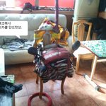 가게에서 심심할때.jpg (오토바이도 팜 구경하세요///)