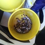 ★★정성가득으로 완성된 친구 생일 선물![사진有]★★