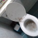 ★★흔녀 <b>bbc</b>의 효녀짓 하기[쏠림 주의]★★