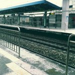 22女 두명의 15박 17일의 필리핀 여행기!