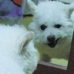 뿅이 꺼져줄면 잘<b>산다</b>해서 안나가기로햇어