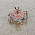 어째서 투<b>피엠</b> 까면 ㅂㅣ비앀ㅋㅋㅋㅋㅋ