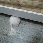 ★개판★사진有★ 이것도 숨은거라고.. jpg