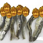★사진有)우리가 흔히 구입하는 대형마트 멸치의 실체★