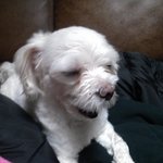 ★☆★☆★혀가안들어가는우리귀염둥이막내★☆★☆★