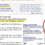 인터넷 신문사의 자극적,선정적인 광고, 누굴위한 광고인가?