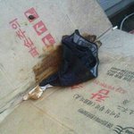 ★★★★사진有)★★★똥싸고도망간 도둑놈ㅋㅋㅋㅋㅋㅋㅋㅋㅋㅋㅋㅋㅋㅋ...