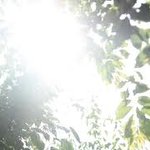 책과 관련된 좋아하는 <b>명언</b>2개.