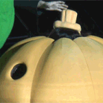 <b>성민</b>이<<처음보고