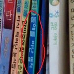 은해깨짐