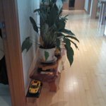 (사진有)★☆★흔한 남매의 일상★☆★