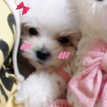 ★★★★★사고뭉치 꽁아의 성장일기!!★★★★★