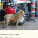 ★사진有)숨막히는 반전<b>뒷태</b>★ 형은 낚이이런거 모른다