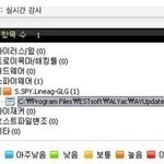 백신사이에서 무시받는 <b>알약</b>...