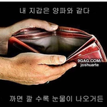 내 지갑과 <b>양파</b>의 공통점?
