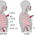 [사진有]★★훈내나는 내동생★★
