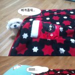 <b>베개</b>좀줘..