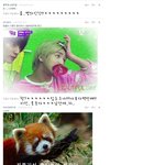 하..모두사랑해요공룡이의<b>댓글놀이</b>!!