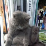 ★☆★ 사진有느님))나도 땅콩한번 자랑해볼래요 !! ★☆★