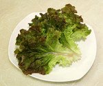 개이름때문에싸우겠네요