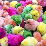 이거 해봤어?? 추억의 <b>놀이</b>!