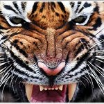 아놔 치킨 먹고 싶다