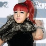 목 <b>실종</b>한 짧은 목의 슬픈 아이돌들