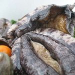 여자랑 똑같은 <b>연체</b>동물