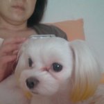 ◈얘를 싫어할수있을거같냐?