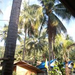 ★50일 해외여행과 함께 사랑을 얻다 3탄★