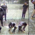 ★★★★★생체 실험이 자랑스럽다는, 김태희를 반환하자는, k-pop은...