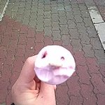 친구랑 <b>체리</b>마루 먹다갘ㅋㅋㅋㅋㅋㅋㅋㅋㅋㅋㅋㅋㅋㅋ(사진有)