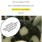 배우 이나영을 덮친 <b>수컷</b>은 누구?