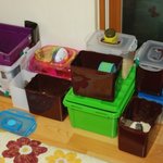 ★☆★[쥐판] 23마리의 햄스터들 집에 세들어 사는 세 자매의 햄이들...