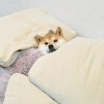 누나!! 아 누나 <b>큰일</b>났어!!빨리와봐