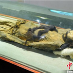 천년동안 사랑의<b>증표</b>를 간직한 미라(사진有살짝혐오?)