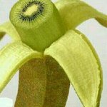 ★★★안보면 후회)최고의 조합&amp;개발★★★