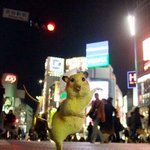 ★★★내가 진짜 <b>피카츄</b>다ㅡㅡ★★★