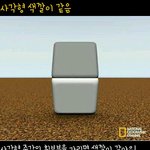 ★★(사진有)언니오빠동생들!! 신기한거봐봐! ★★