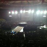 안녕하세요 카밀리아입니다.