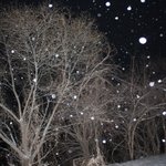 ◈◈◈◈ 제 전부를 잃어버렸습니다. ◈◈◈◈